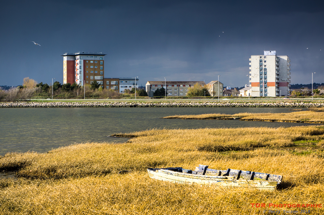 Urban Landscape with Seagulls