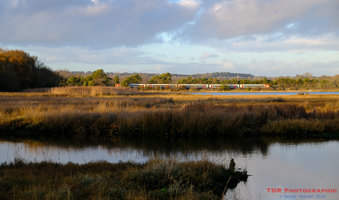 The Harbour Shoreline