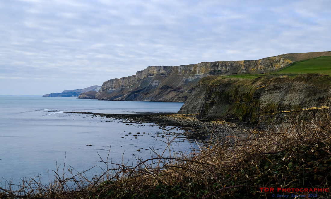The Firing Range Coastline