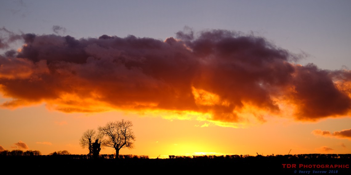 Silhouettes in the Sunset