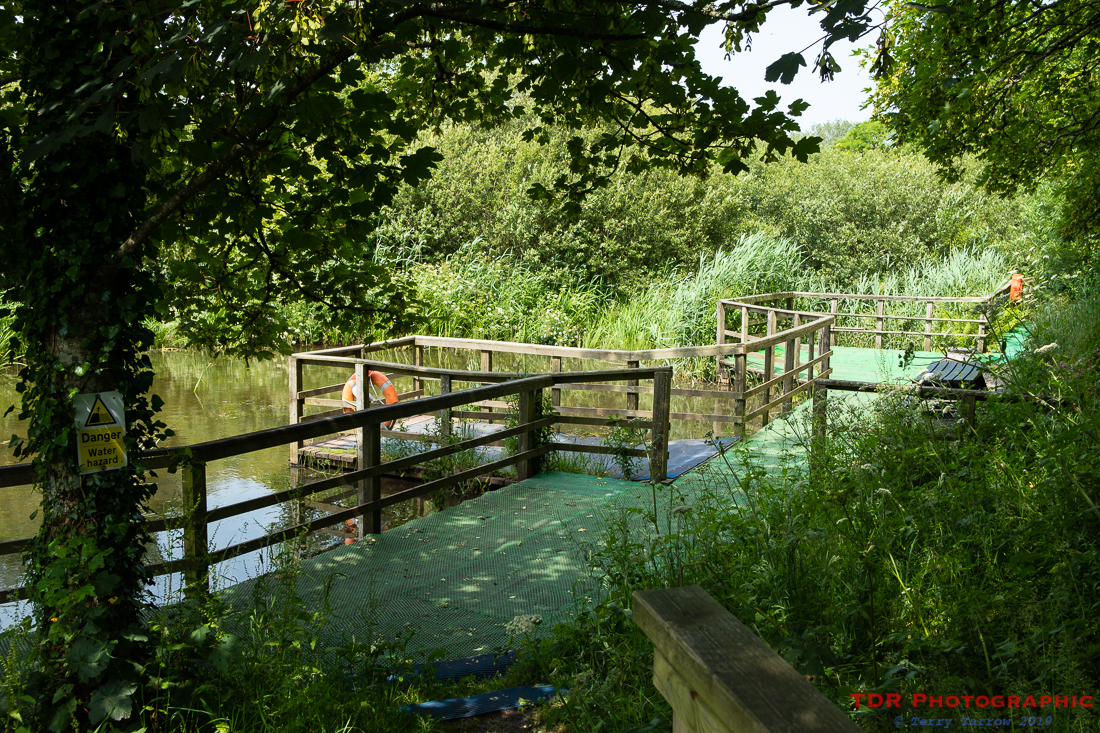 The nature reserve