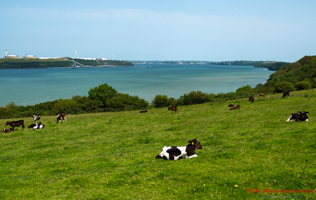 The Milford Haven inlet
