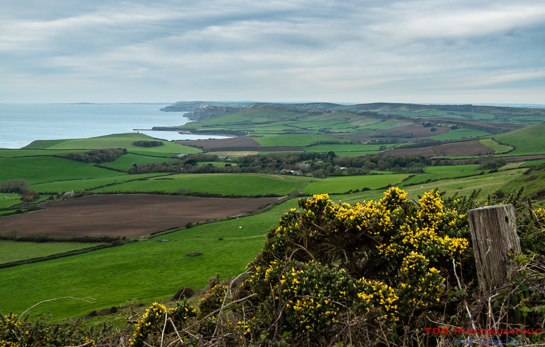 Kimmeridge from Heaven's Gate